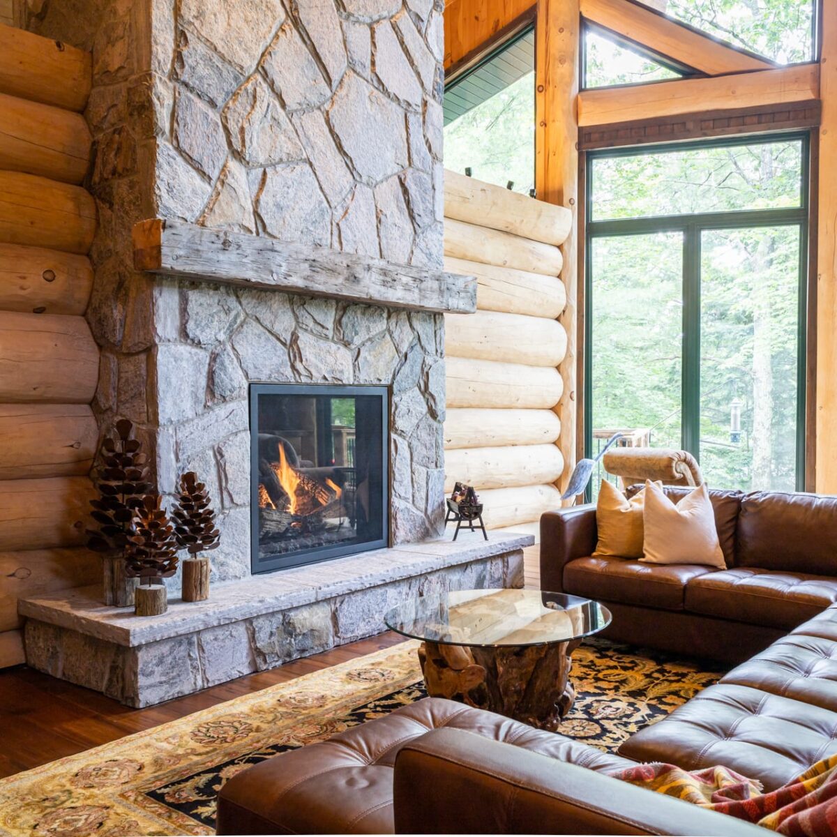 Timber Views
