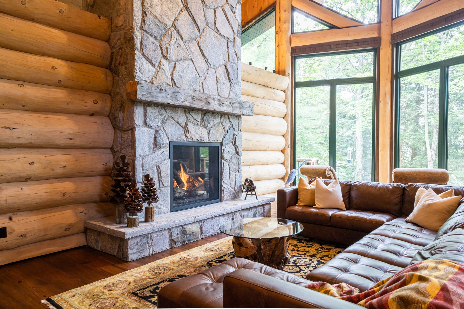 Timber Views
